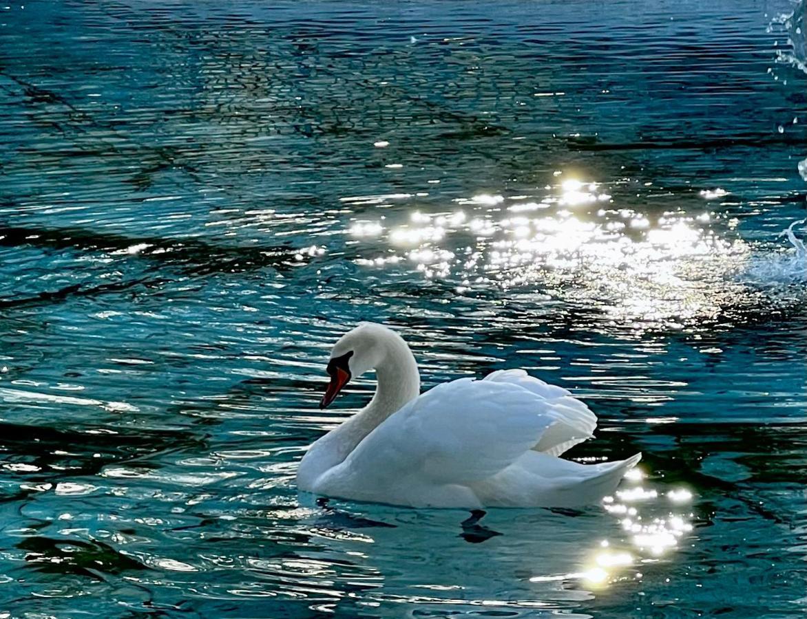 Ca' Dei Cigni Daire Rovereto  Dış mekan fotoğraf