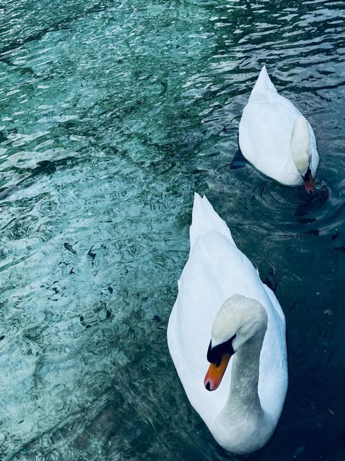 Ca' Dei Cigni Daire Rovereto  Dış mekan fotoğraf